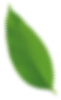 growth-close_img2