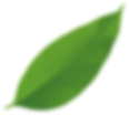 growth-close_img3